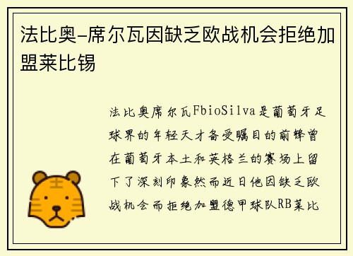 法比奥-席尔瓦因缺乏欧战机会拒绝加盟莱比锡