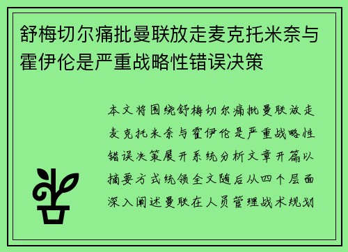 舒梅切尔痛批曼联放走麦克托米奈与霍伊伦是严重战略性错误决策