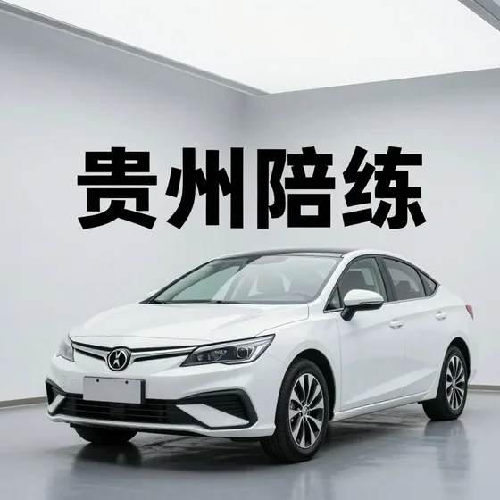 贵州陪练